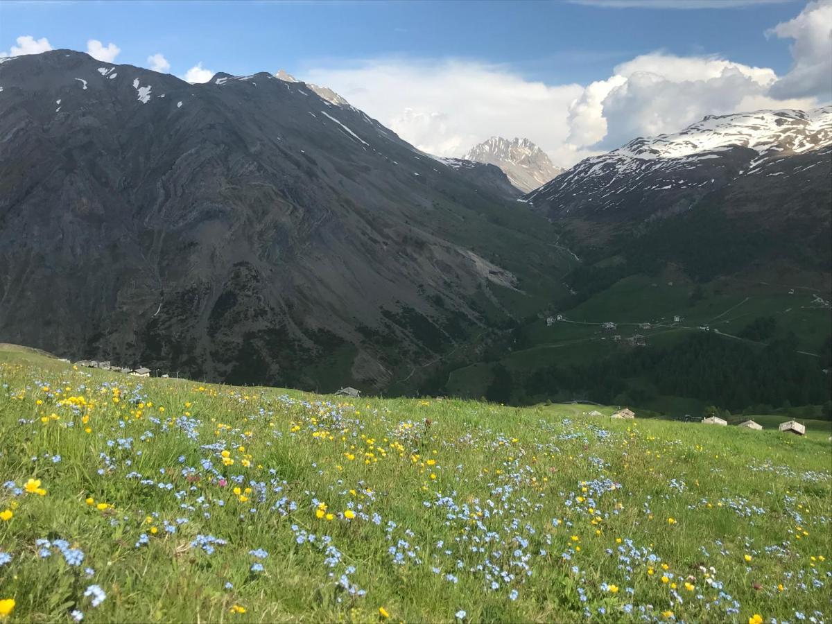 Paradise * Livigno