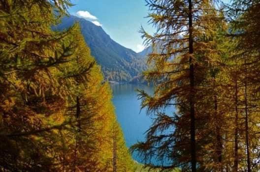 Paradise * Livigno